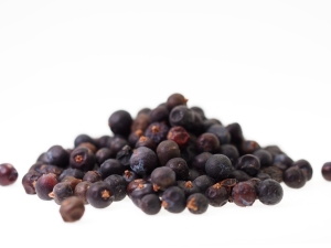 ジュニパーベリー GIN JUNIPERBERRY PURE（ジン／ジュニパーベリー／47°／370ml