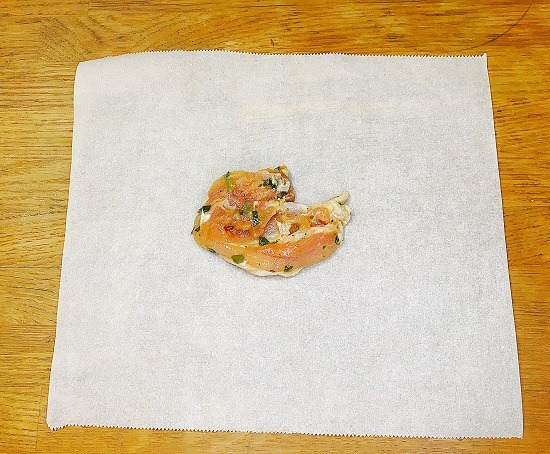 ペーパーチキン２