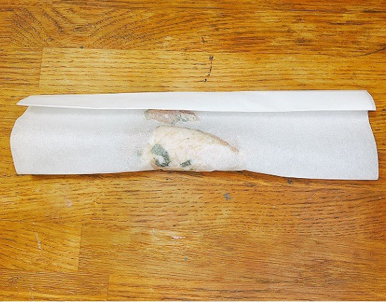 ペーパーチキン４