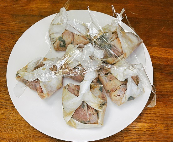 ペーパーチキン９